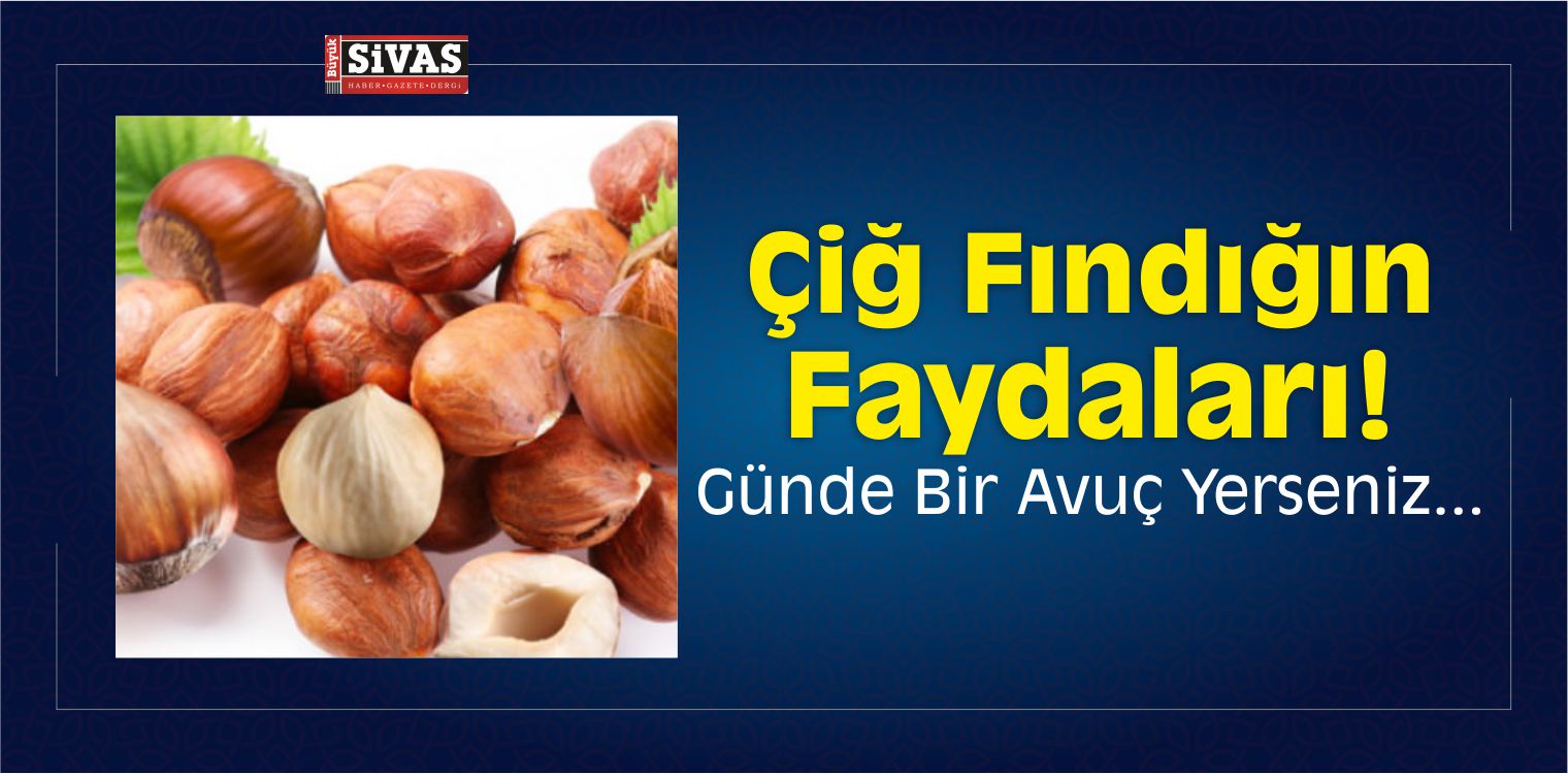 çiğ fındığın faydaları