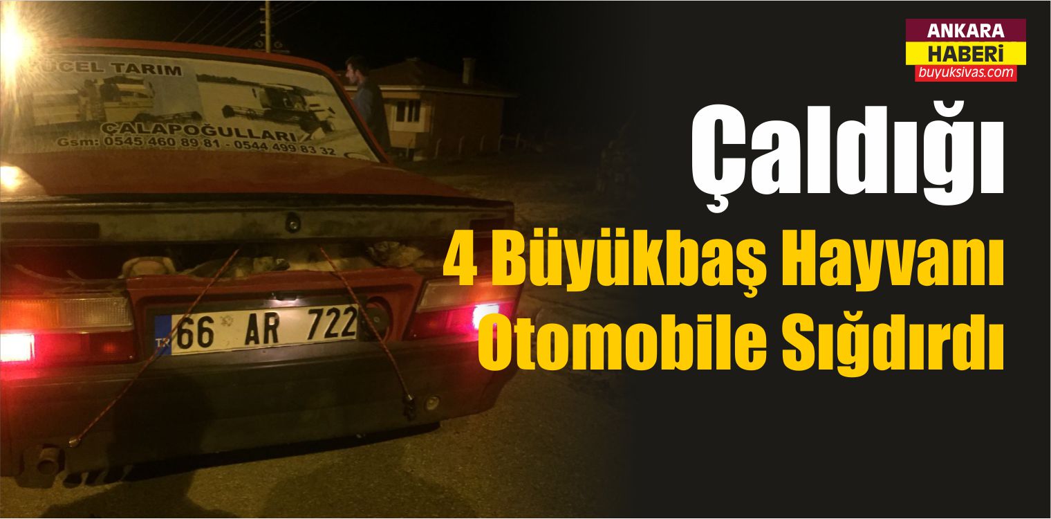 Çaldıkları 4 Büyükbaş Hayvanı