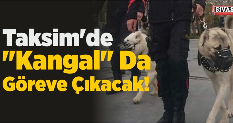 Yılbaşında Taksim’de “Kangal” Da Göreve Çıkacak!