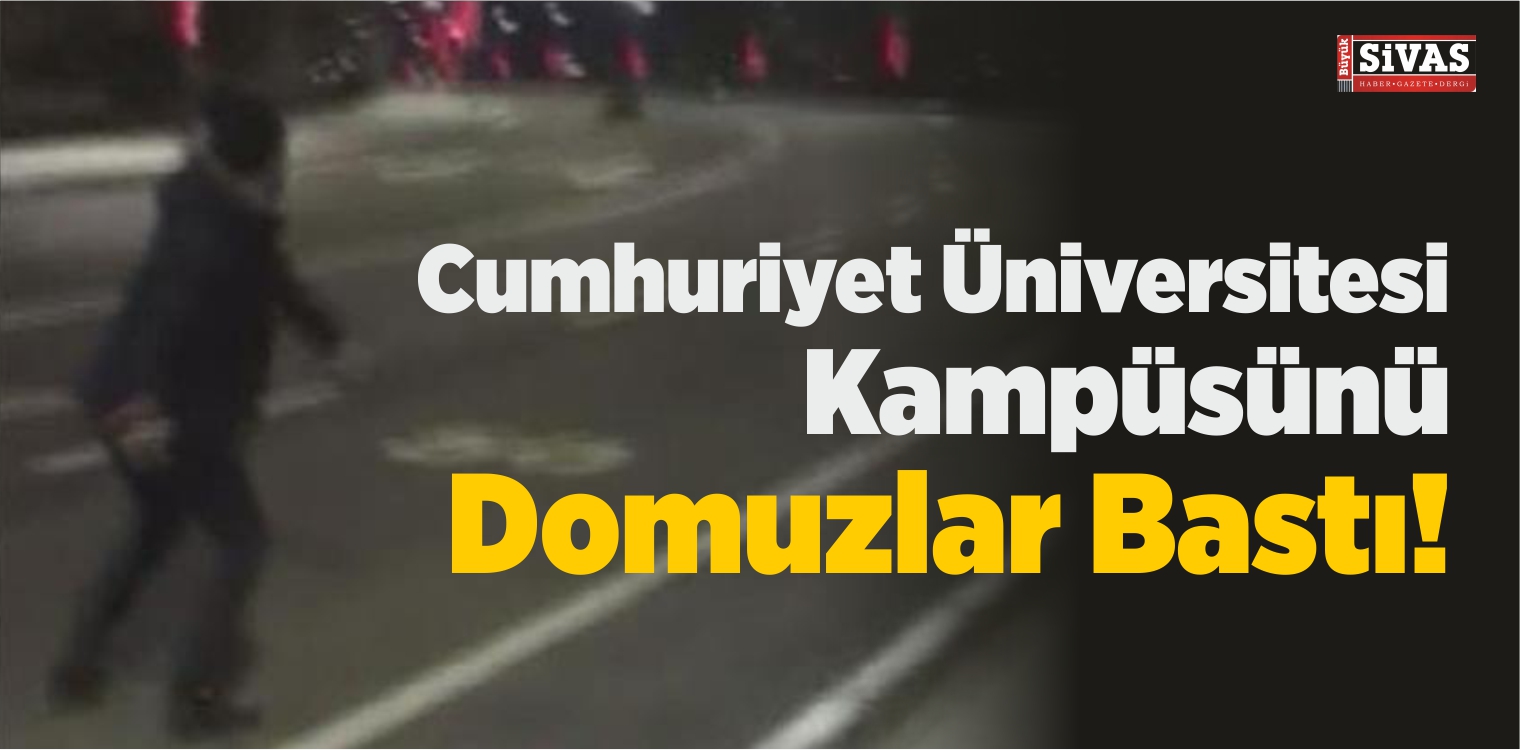 Cumhuriyet Üniversitesi Kampüsünü Domuzlar Bastı