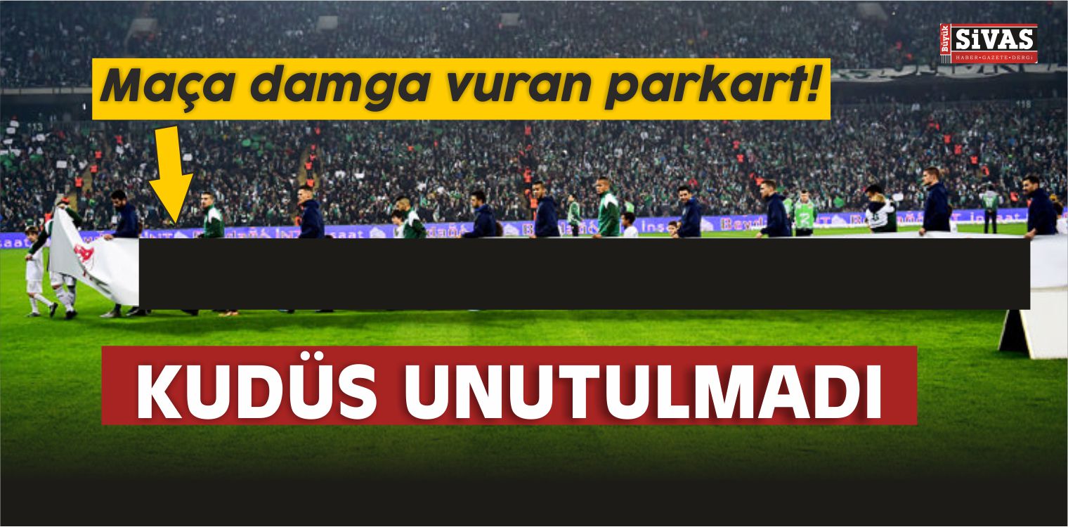 Bursaspor - Fenerbahçe