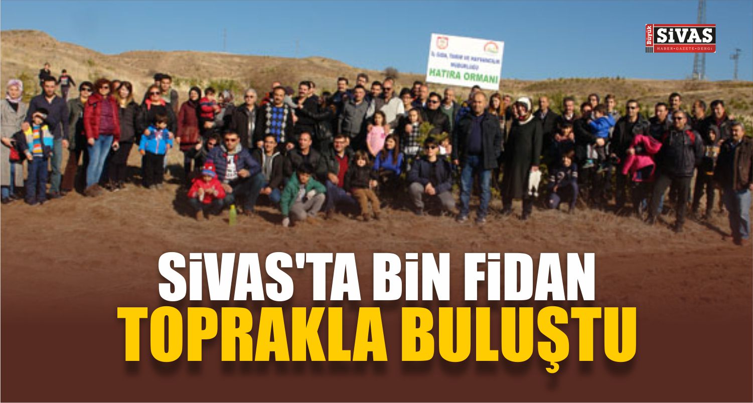 Sivas’ta Bin Fidan Toprakla Buluştu