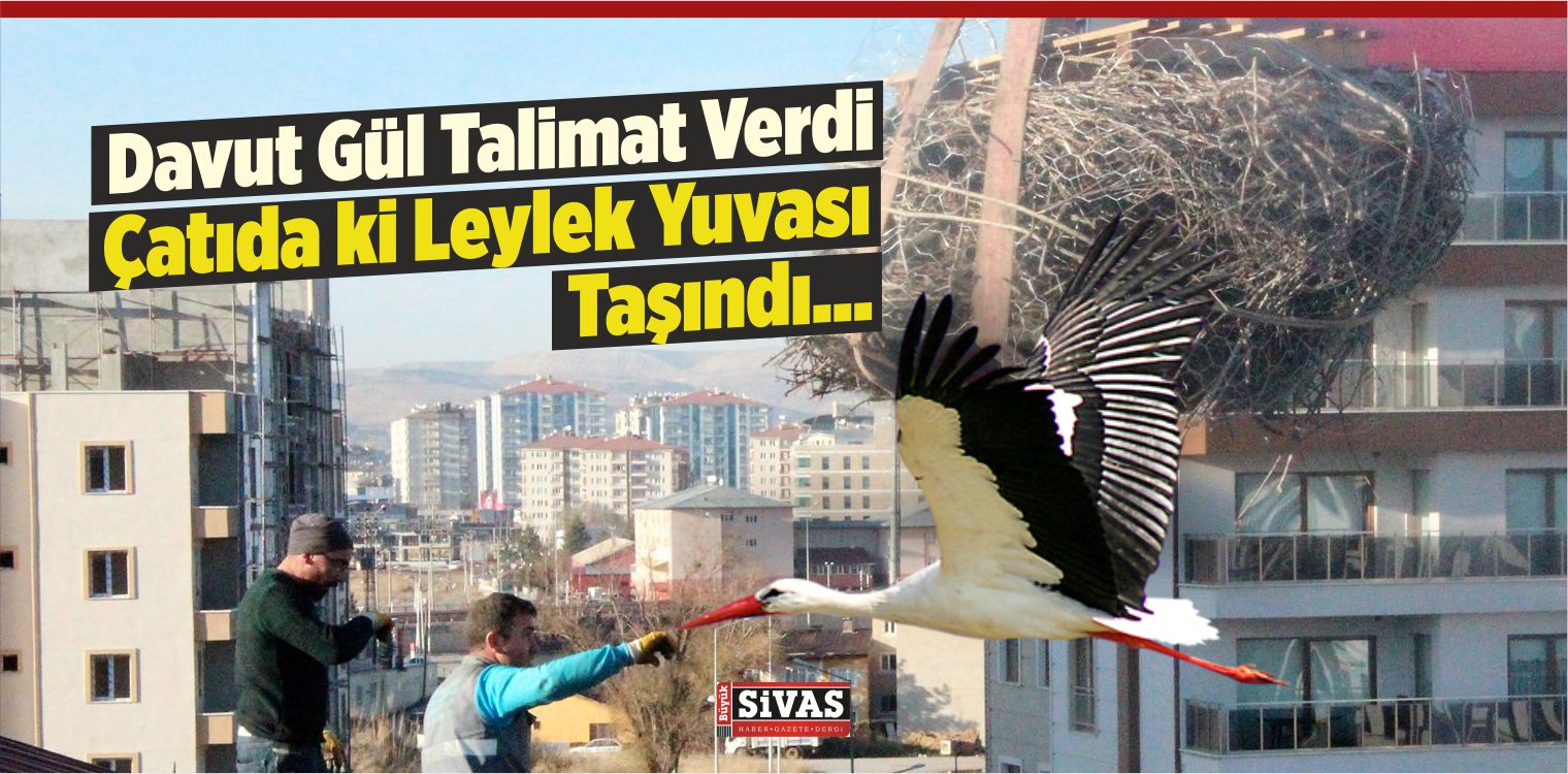 leylek