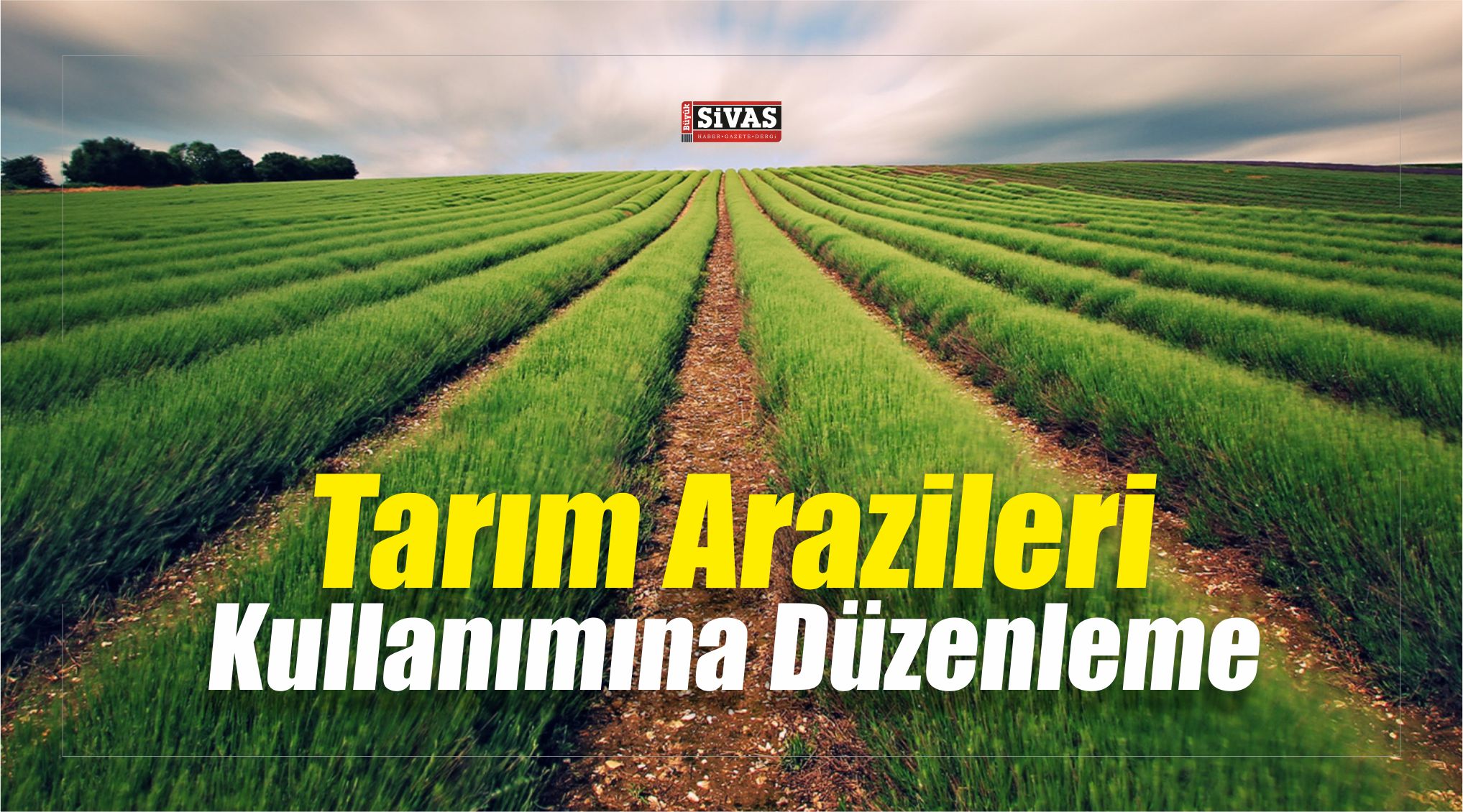 Tarım Arazileri Kullanımına Düzenleme