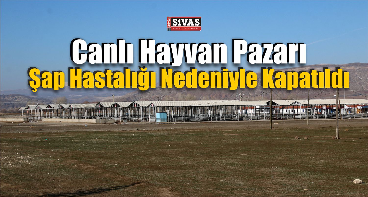Sivas’ta Şap Hastalığı Karantinası
