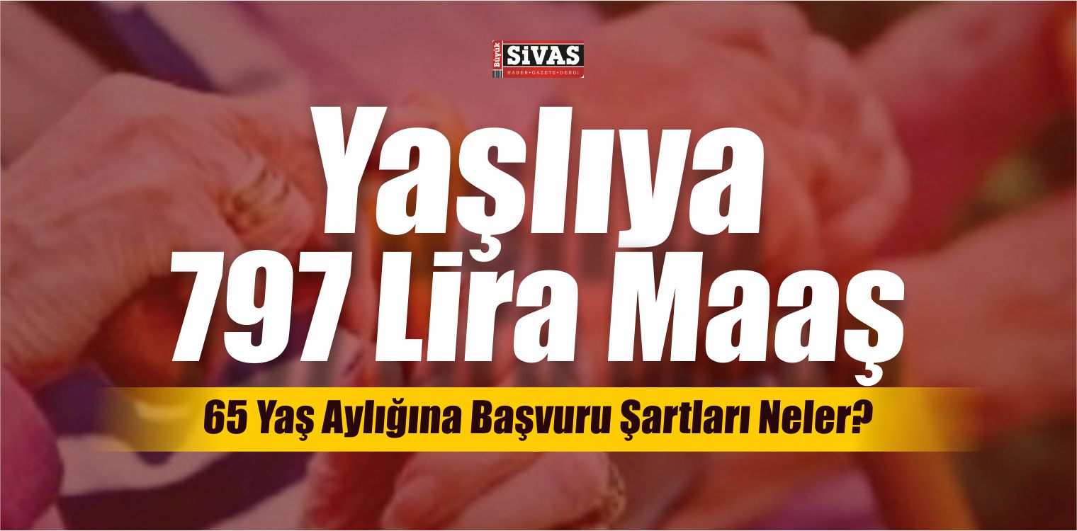 65 Yaş Aylığı