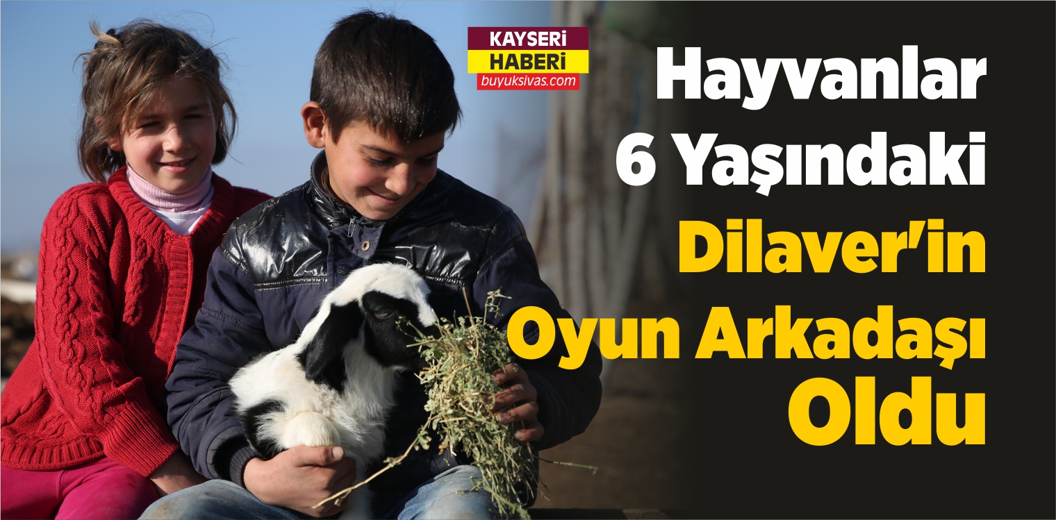 Hayvanlar 6 Yaşındaki Dilaver’in Oyun Arkadaşı Oldu