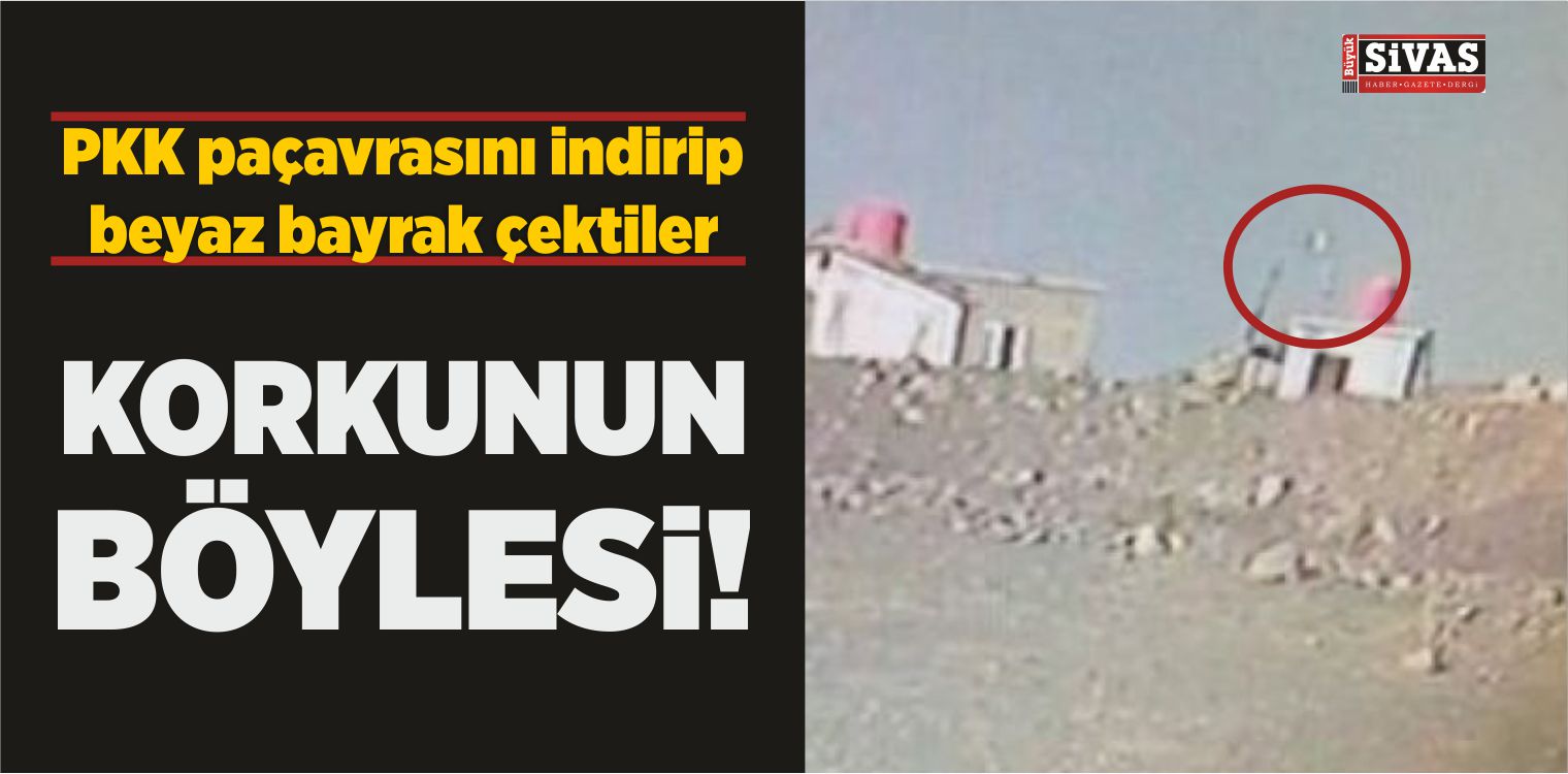 Korkunun Böylesi: YPG Beyaz Bayrak Çekti