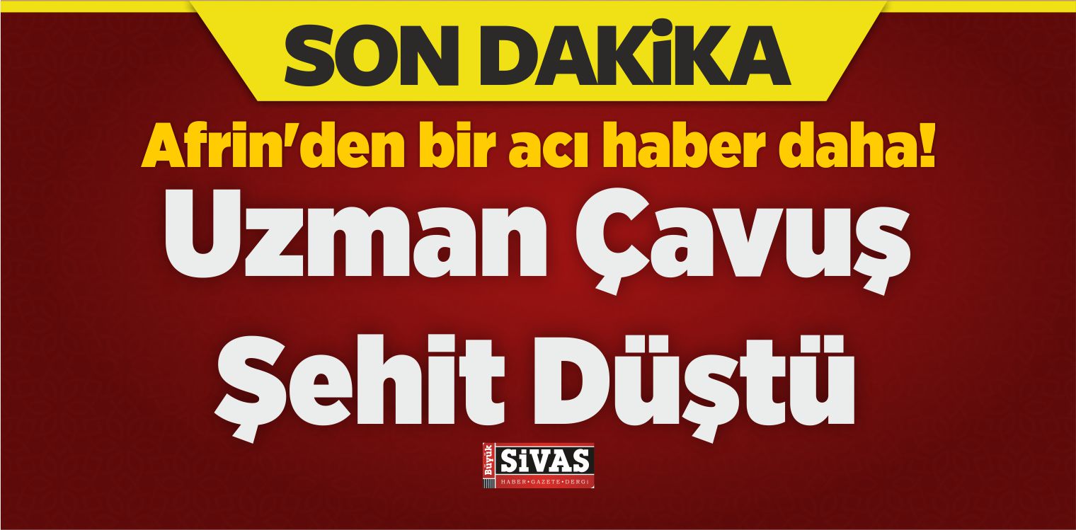 Zeytin Dalı