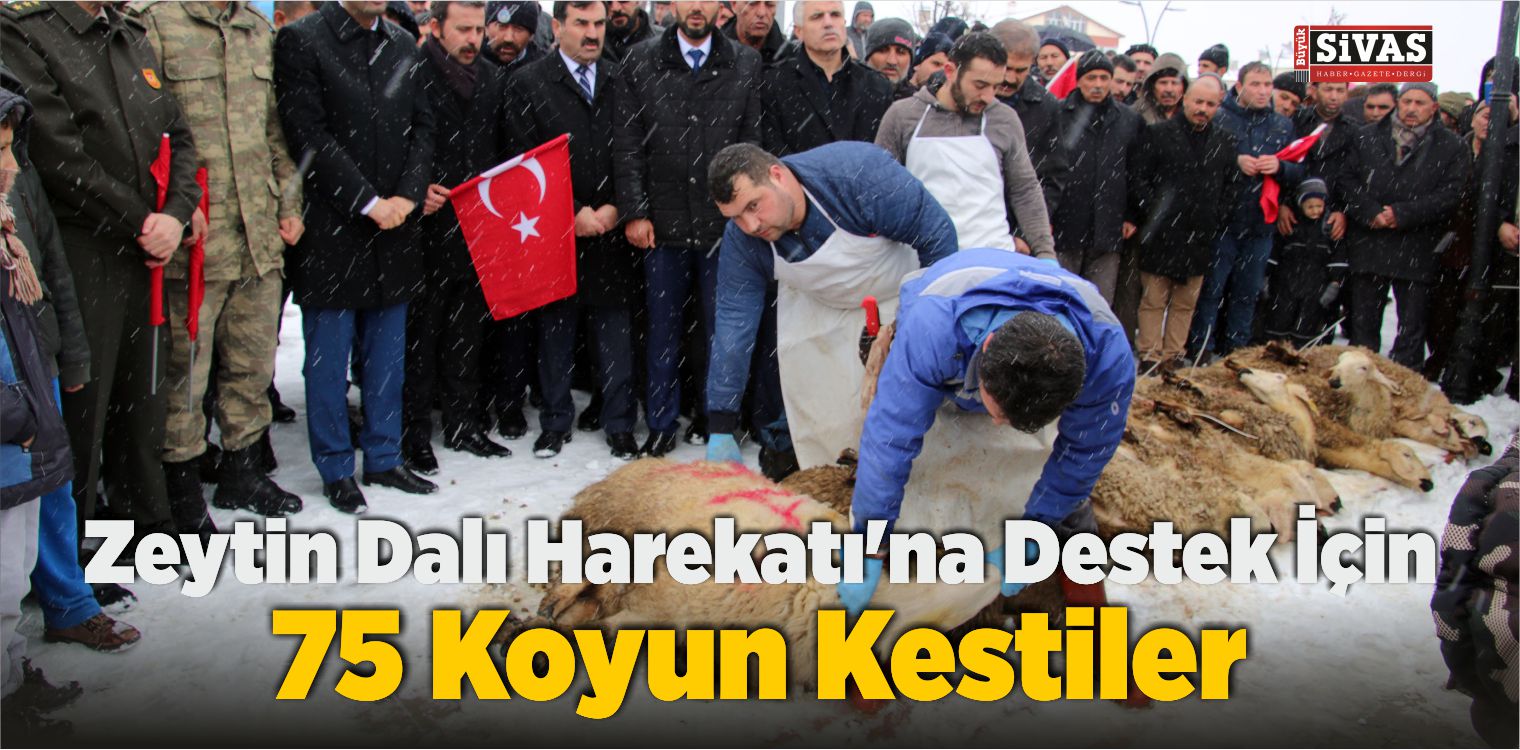 Zeytin Dalı Harekatı’na Destek İçin 75 Koyun Kestiler!