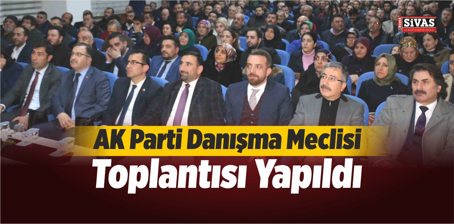 Danışma Meclisi