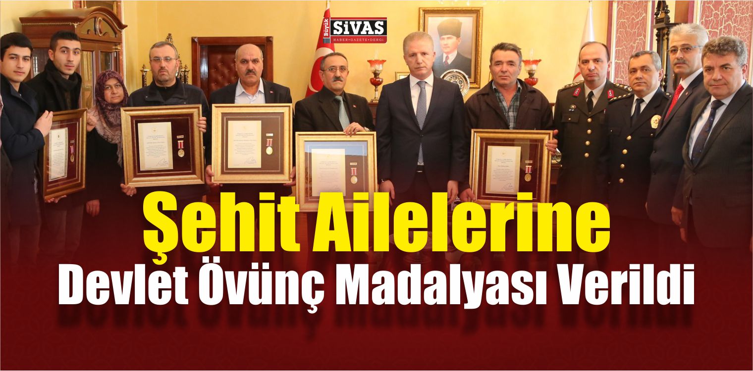 Devlet Övünç Madalyası