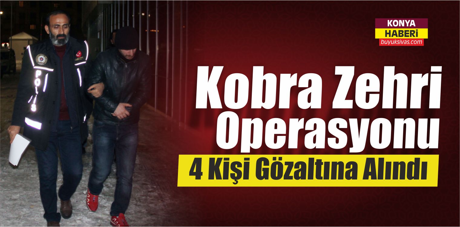 Konya’da Kobra Zehri Operasyonu