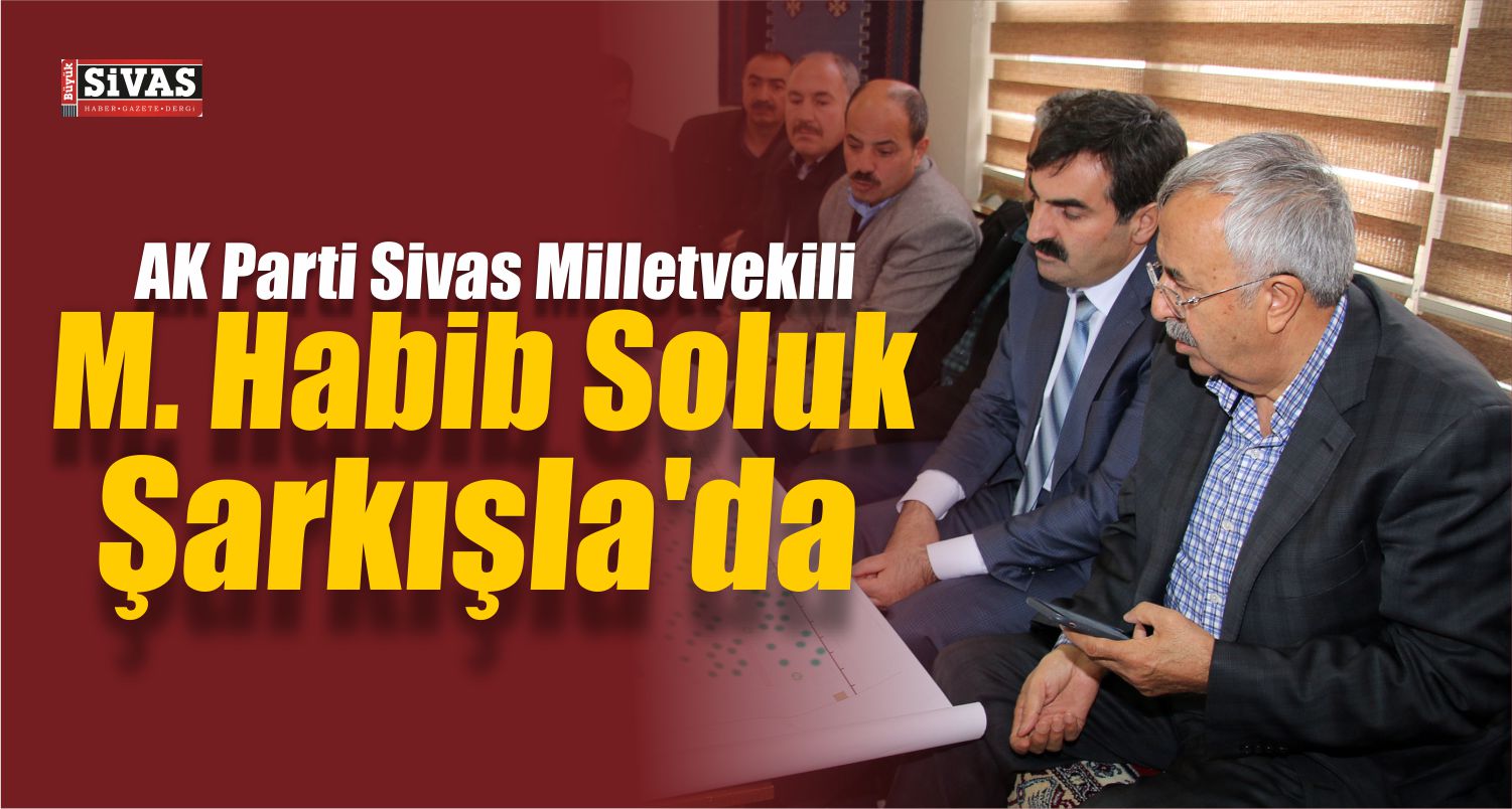 habib soluk