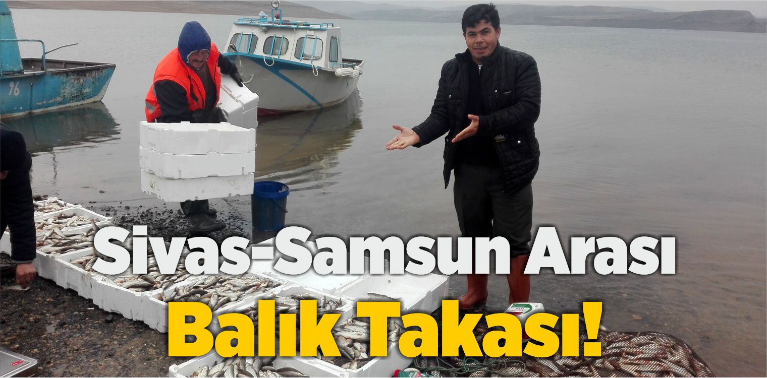 Sivas’ın Balığı Takas İçin Samsun’a Götürülüyor