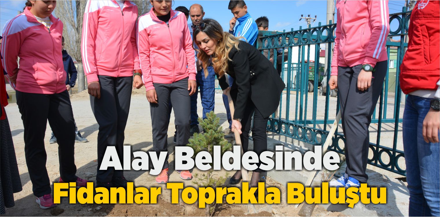 Alay Beldesinde