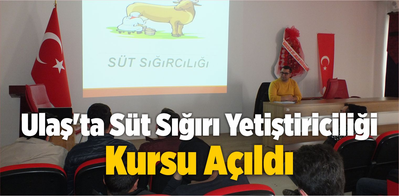 Ulaş’ta Süt Sığırı Yetiştiriciliği Kursu Açıldı