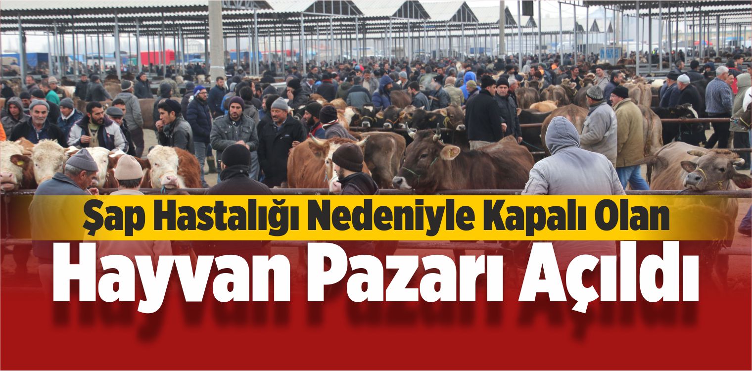 Sivas’taki Canlı Hayvan Pazarı Açıldı