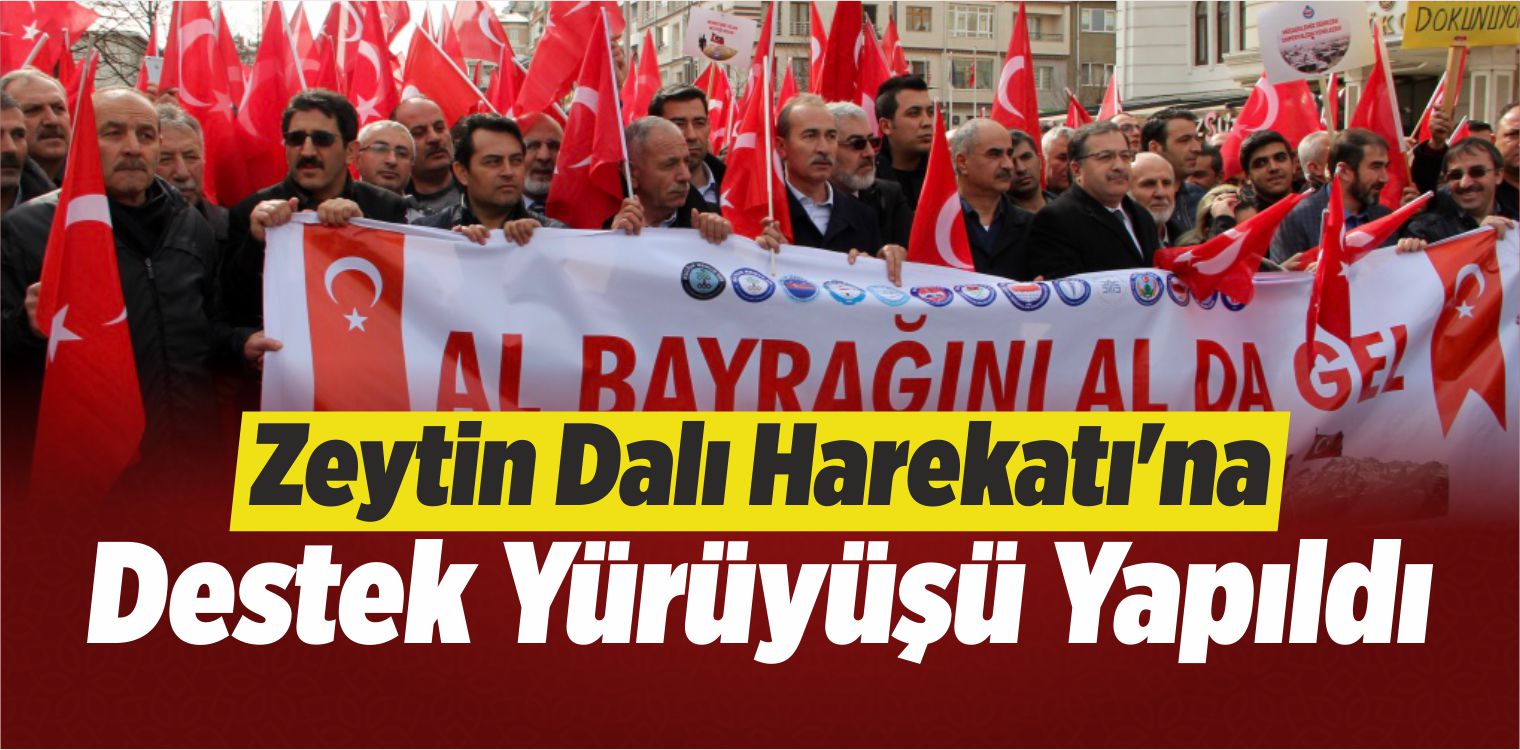 Sivas’ta Zeytin Dalı Harekatı’na Destek Yürüyüşü