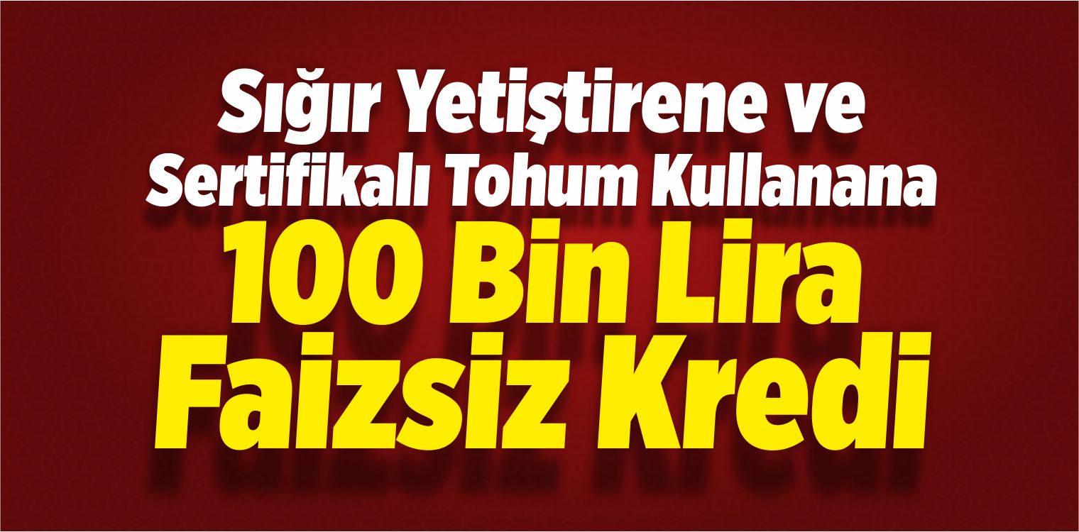 Faizsiz Kredi