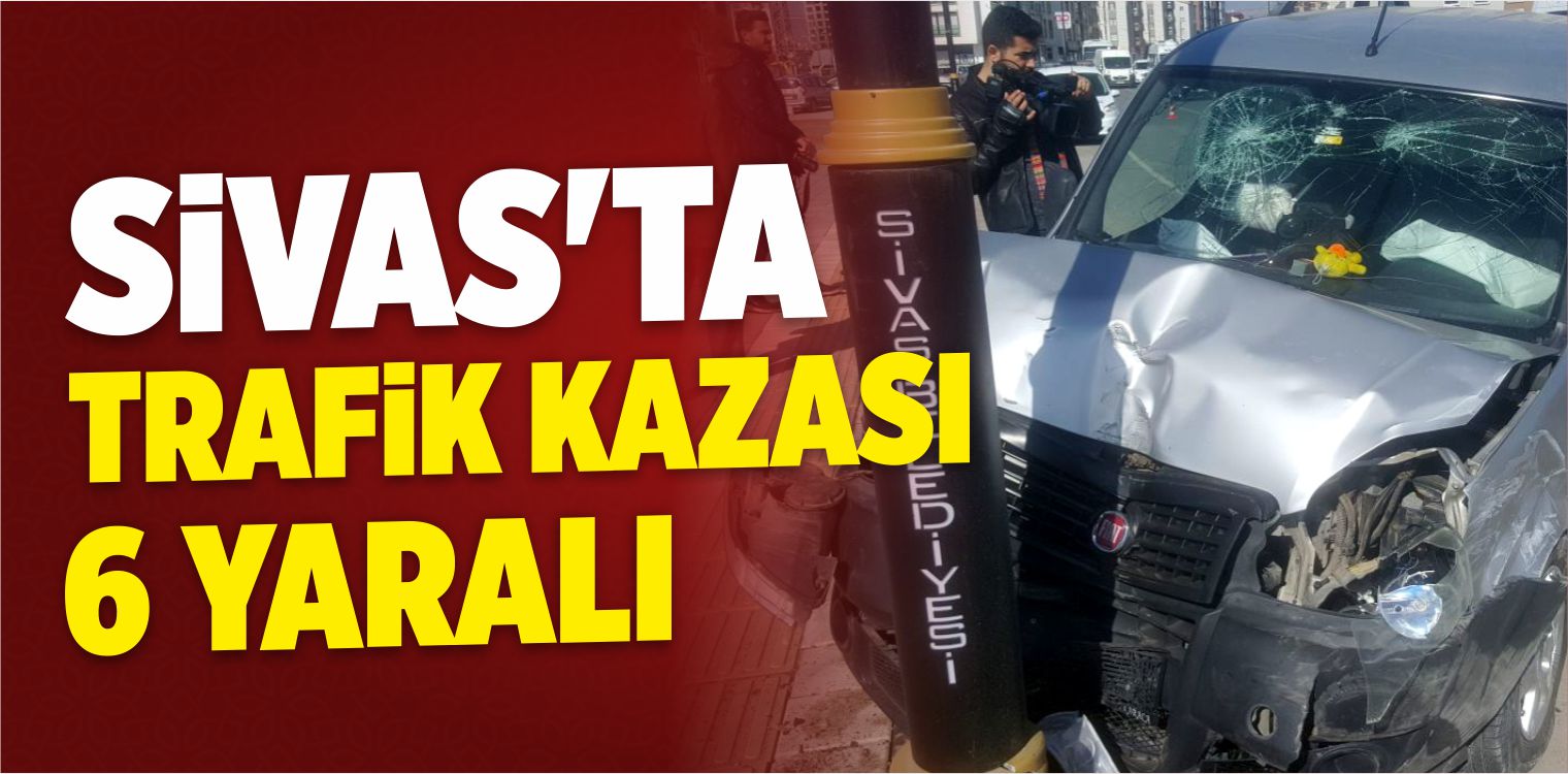 Hafif Ticari Araç Kaza