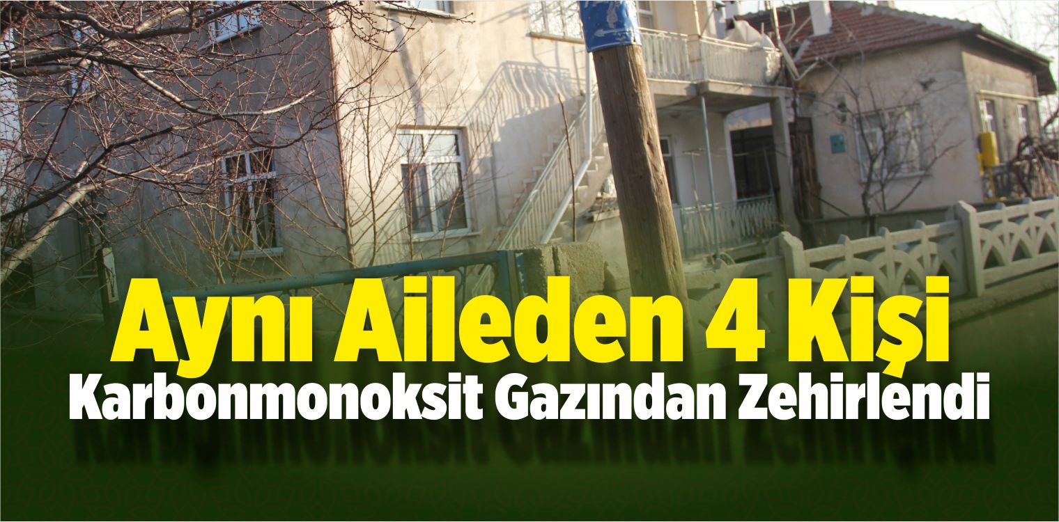 Karbonmonoksit Gazı