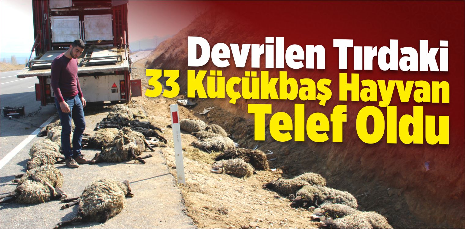 Devrilen Tırdaki 33 Küçükbaş Hayvan Telef Oldu