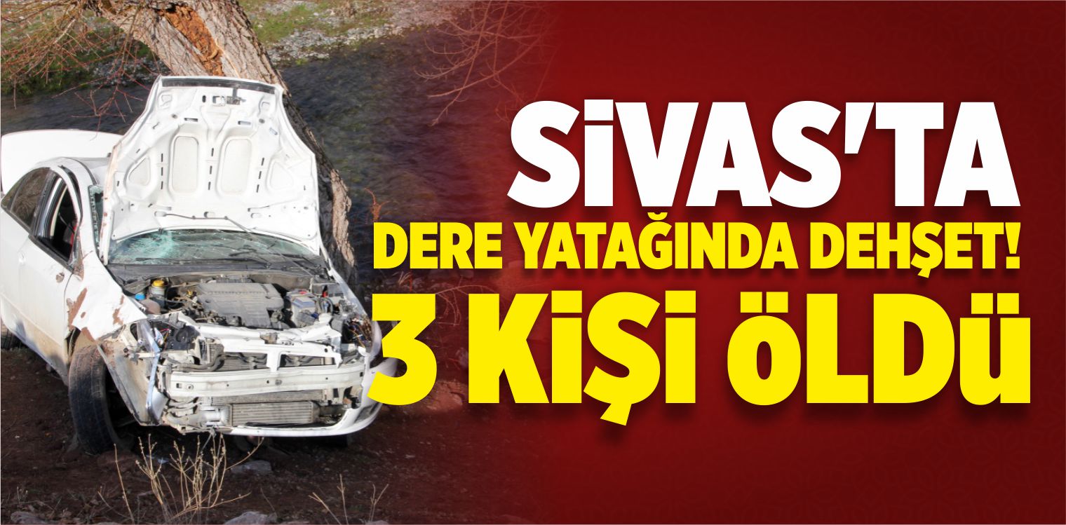 Otomobil Dere Yatağındaki Ağaçlara Çarptı