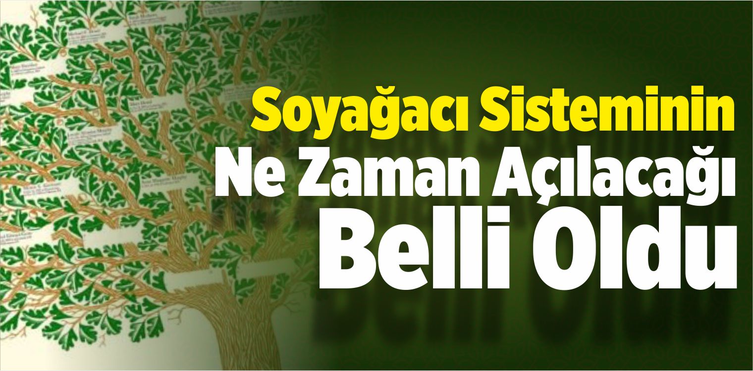 Soyağacı Sisteminin Ne Zaman Açılacağı Belli Oldu