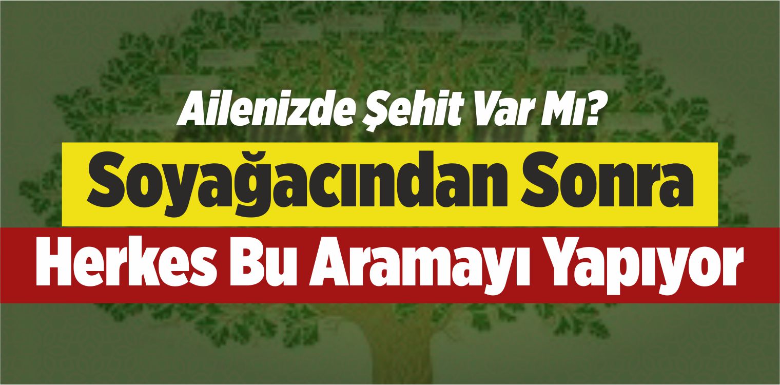 Soyağacından Sonra Şimdi Herkes Bu Aramayı Yapıyor