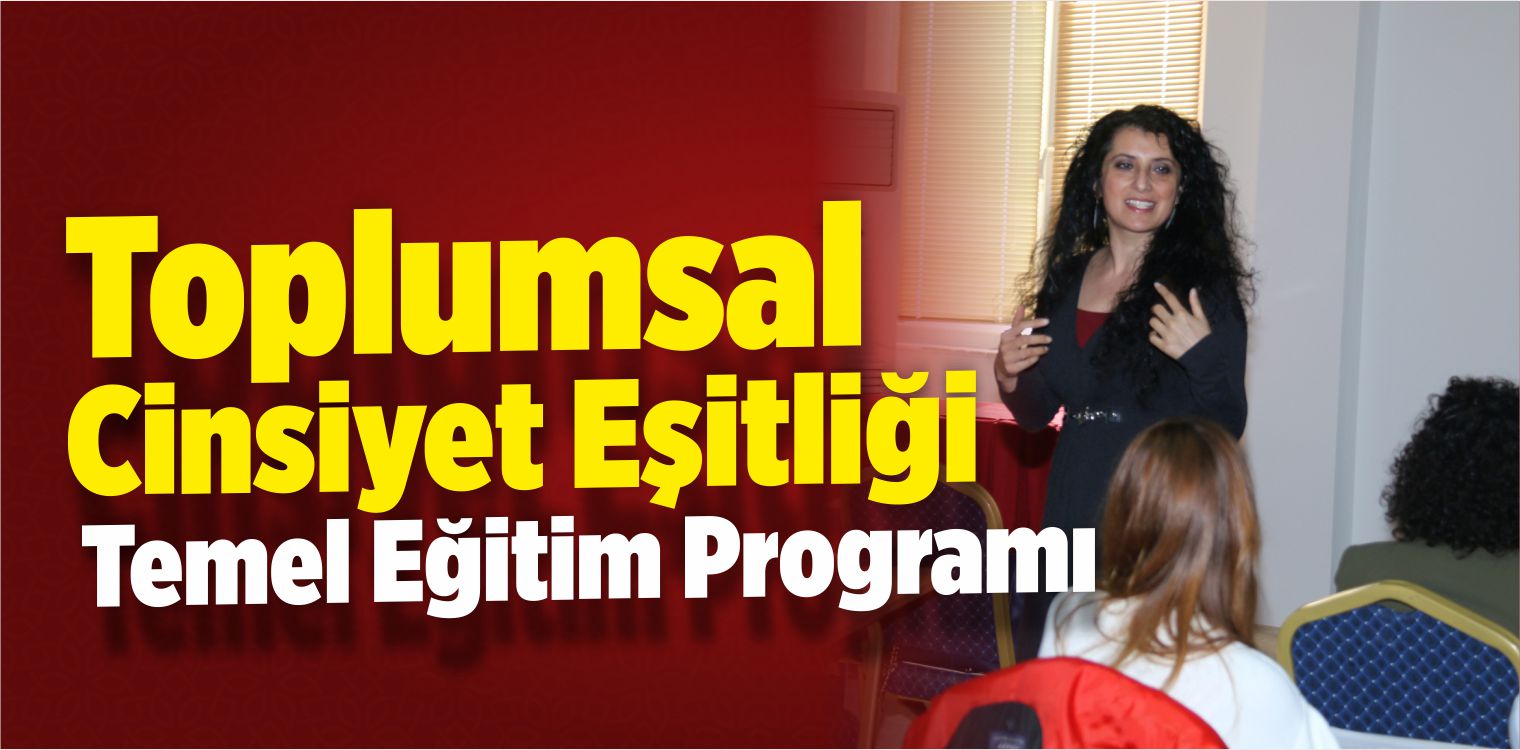 Toplumsal Cinsiyet Eşitliği