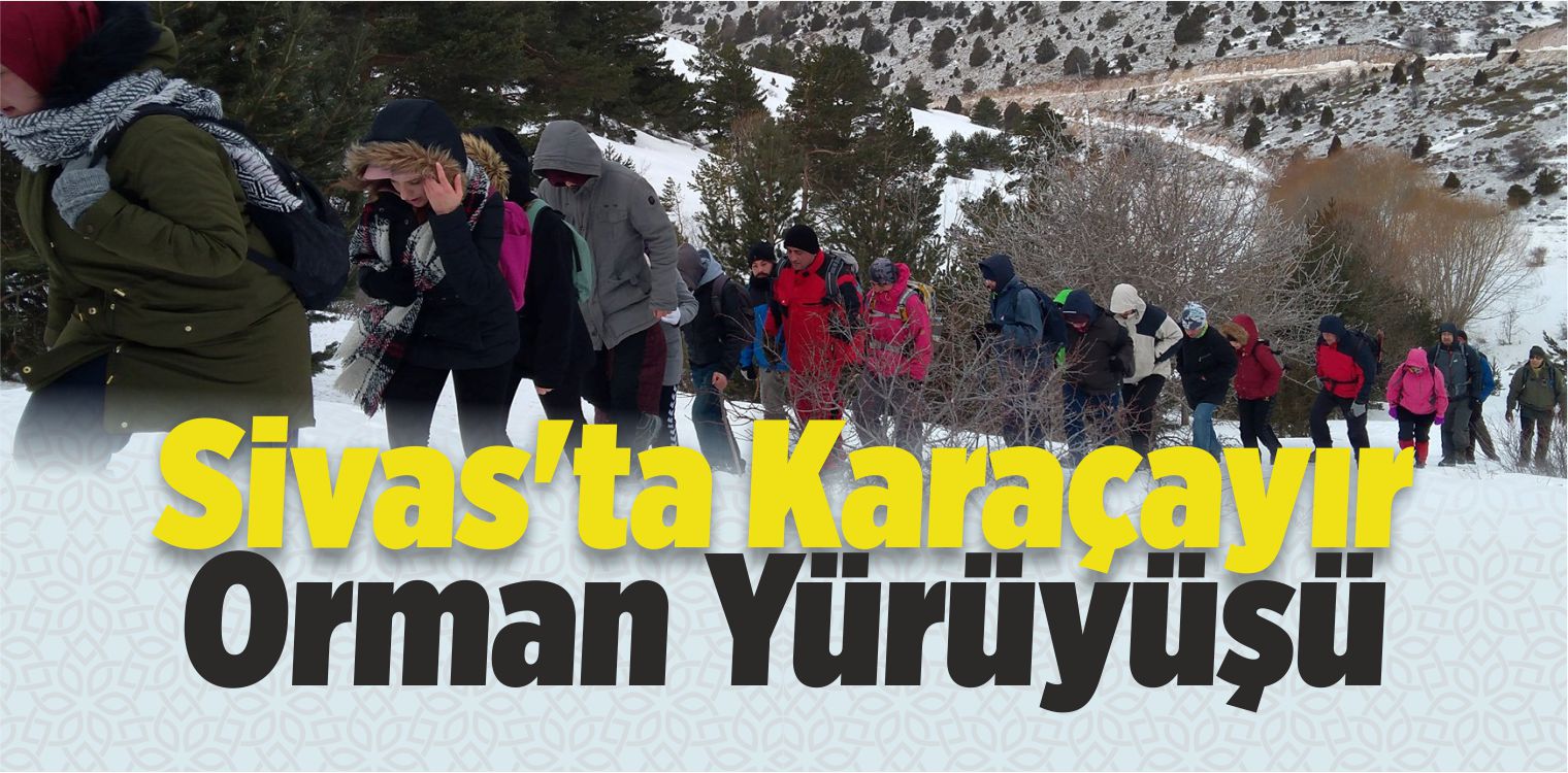 Türkiye Dağcılık Federasyonu