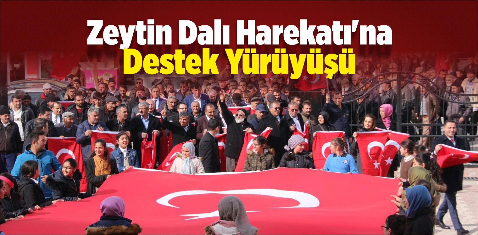 Zeytin Dalı Harekatı