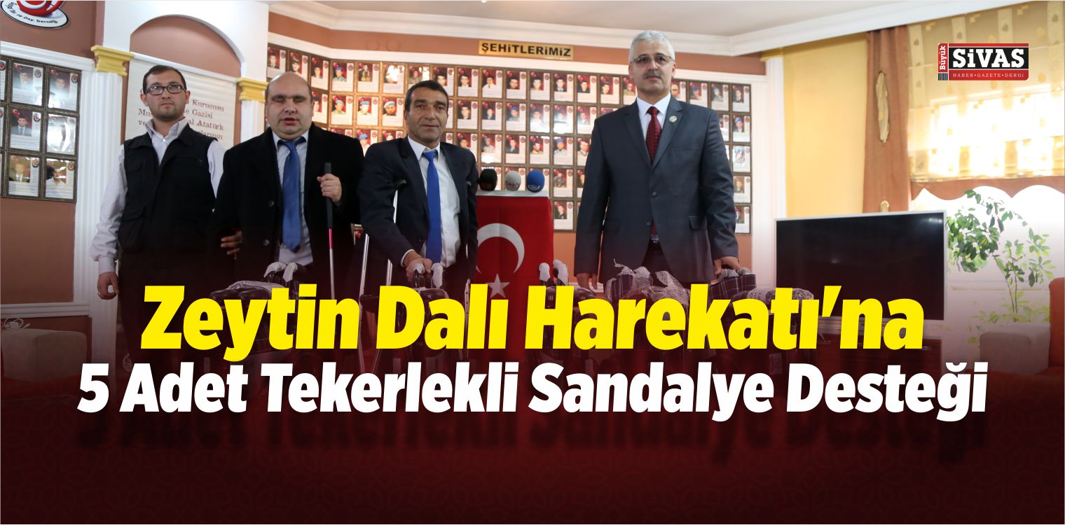 Zeytin Dalı Harekatı