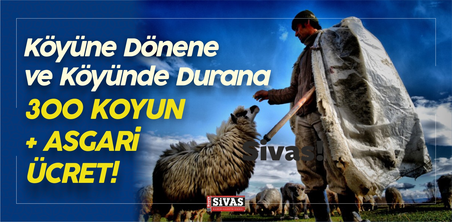 300 KOYUN + ASGARi ÜCRET
