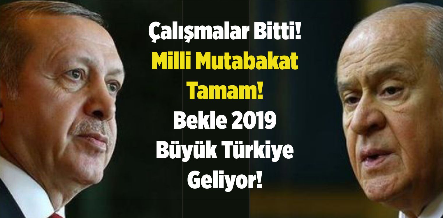 milli mutabakat