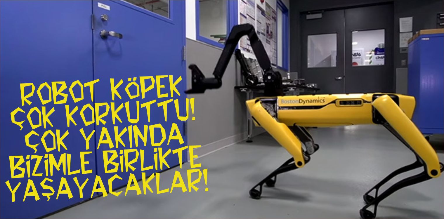robot köpek