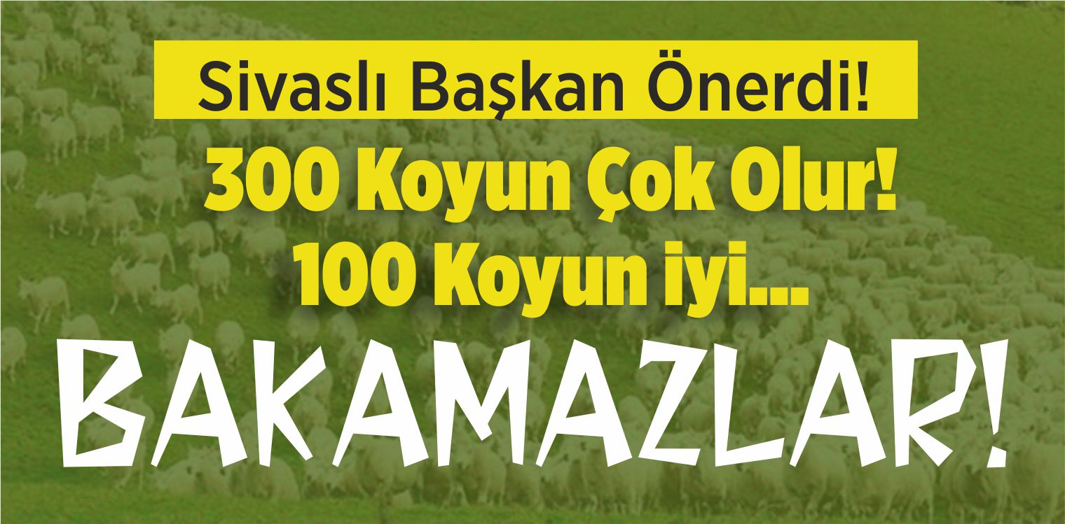 Hacı Çetindağ : “300 Koyuna Bakmak Çok Zor! 100 Olması Gerekir!”