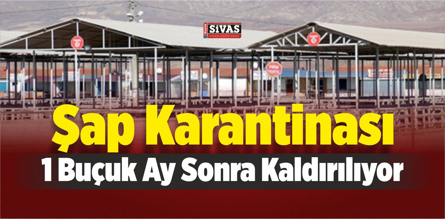 Sivas’taki Şap Karantinası Kaldırılıyor
