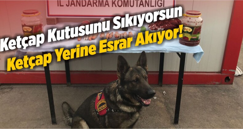 Salça Ve Ketçap Kutusundaki Esrar “Geçim”e Takıldı
