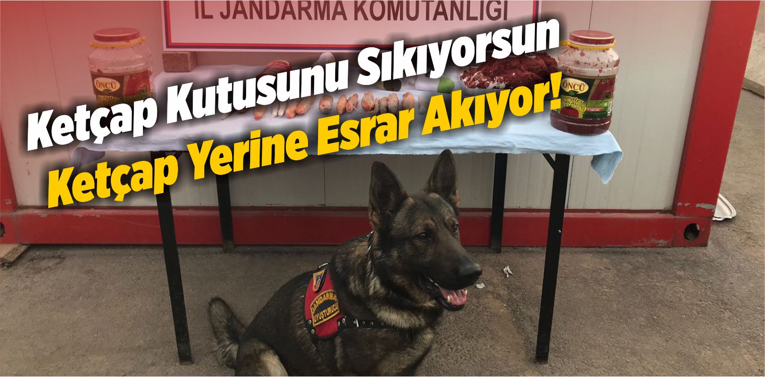 Salça Ve Ketçap Kutusundaki Esrar “Geçim”e Takıldı