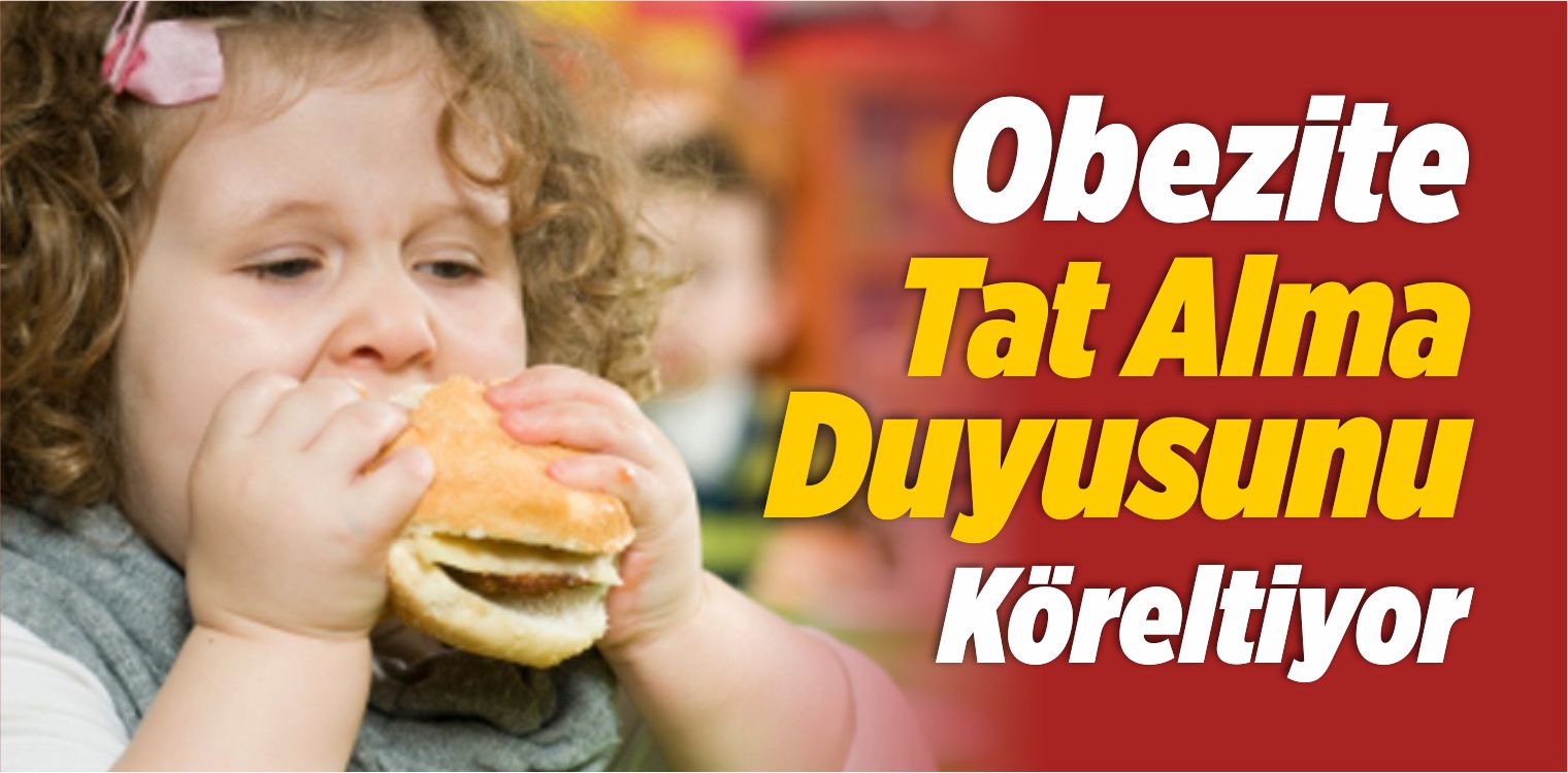 Obezite Tat Alma Duyusunu Köreltiyor