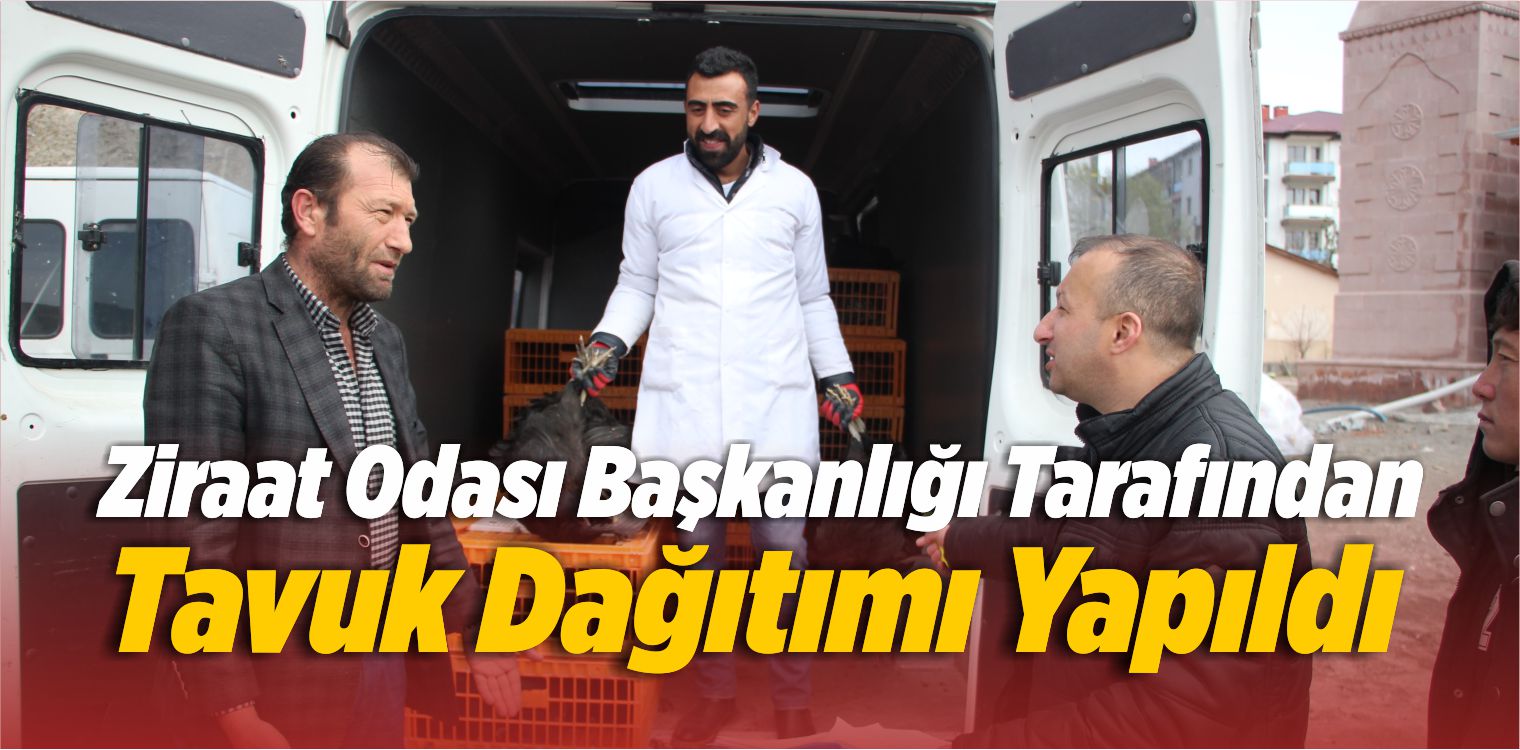 Ziraat Odası Başkanlığı Tarafından Tavuk Dağıtımı Yapıldı