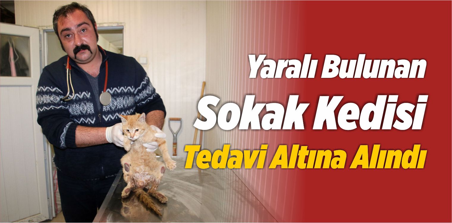 Yaralı