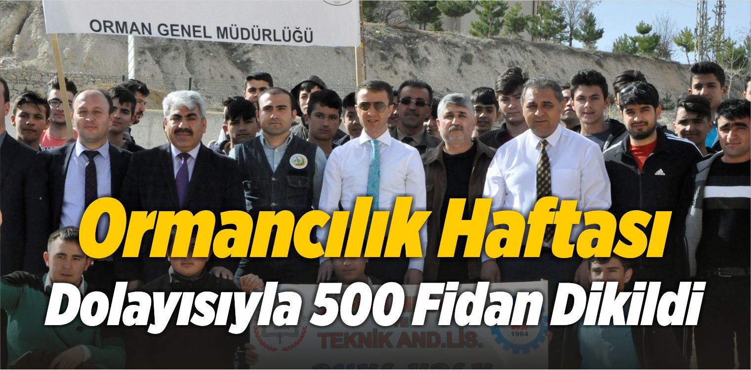 500 Fidan Dikildi