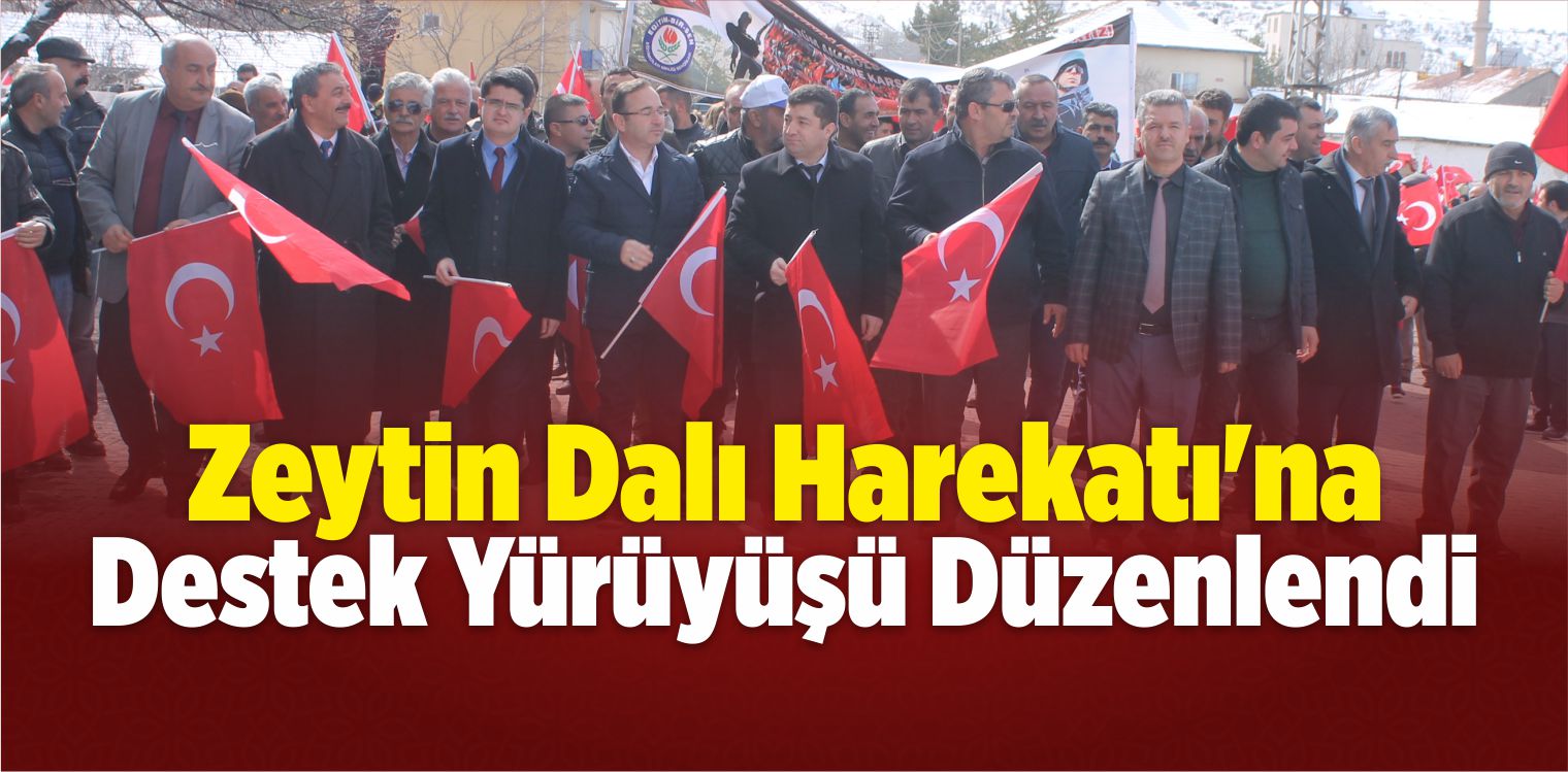 Çayıralan’da Zeytin Dalı Harekatı’na Destek Yürüyüşü