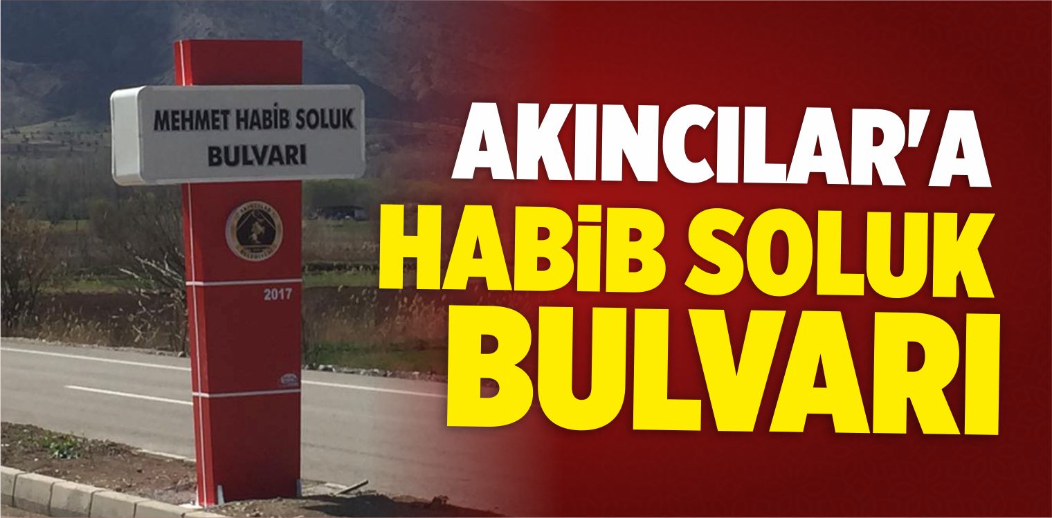 Mehmet Habib Soluk