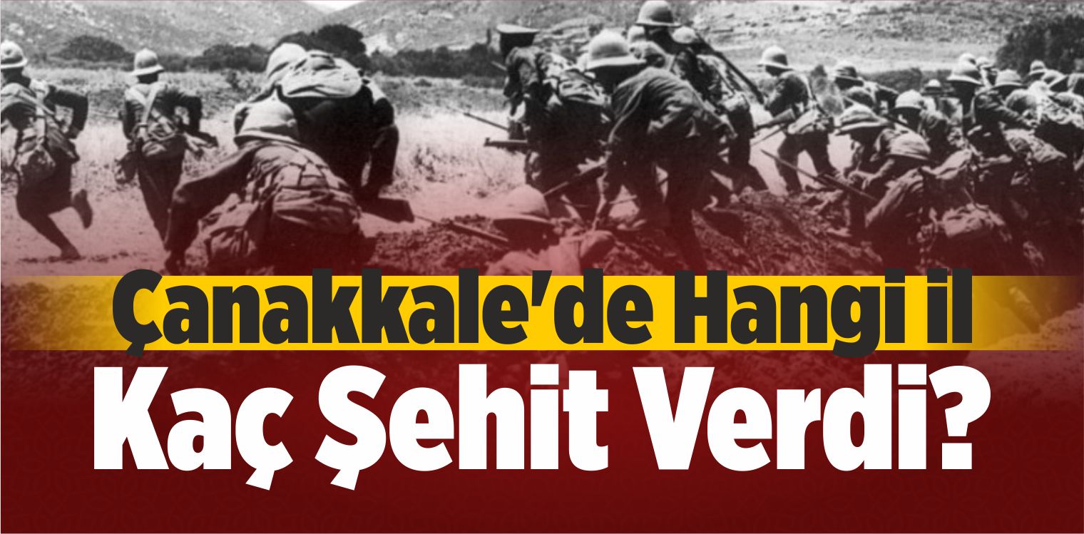 Çanakkale’de Hangi İl Kaç Şehit Verdi?