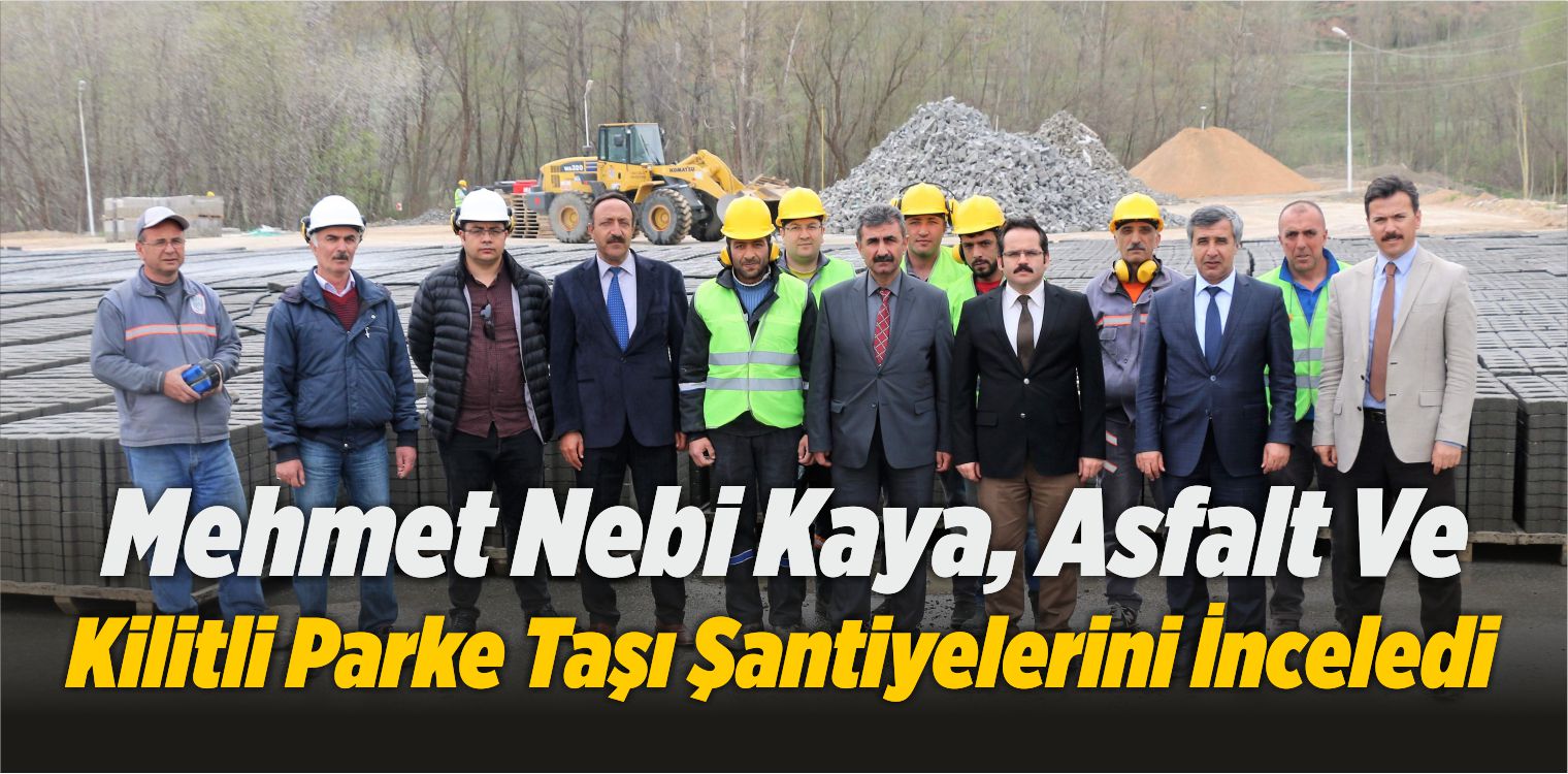 Kilitli Parke Taşı