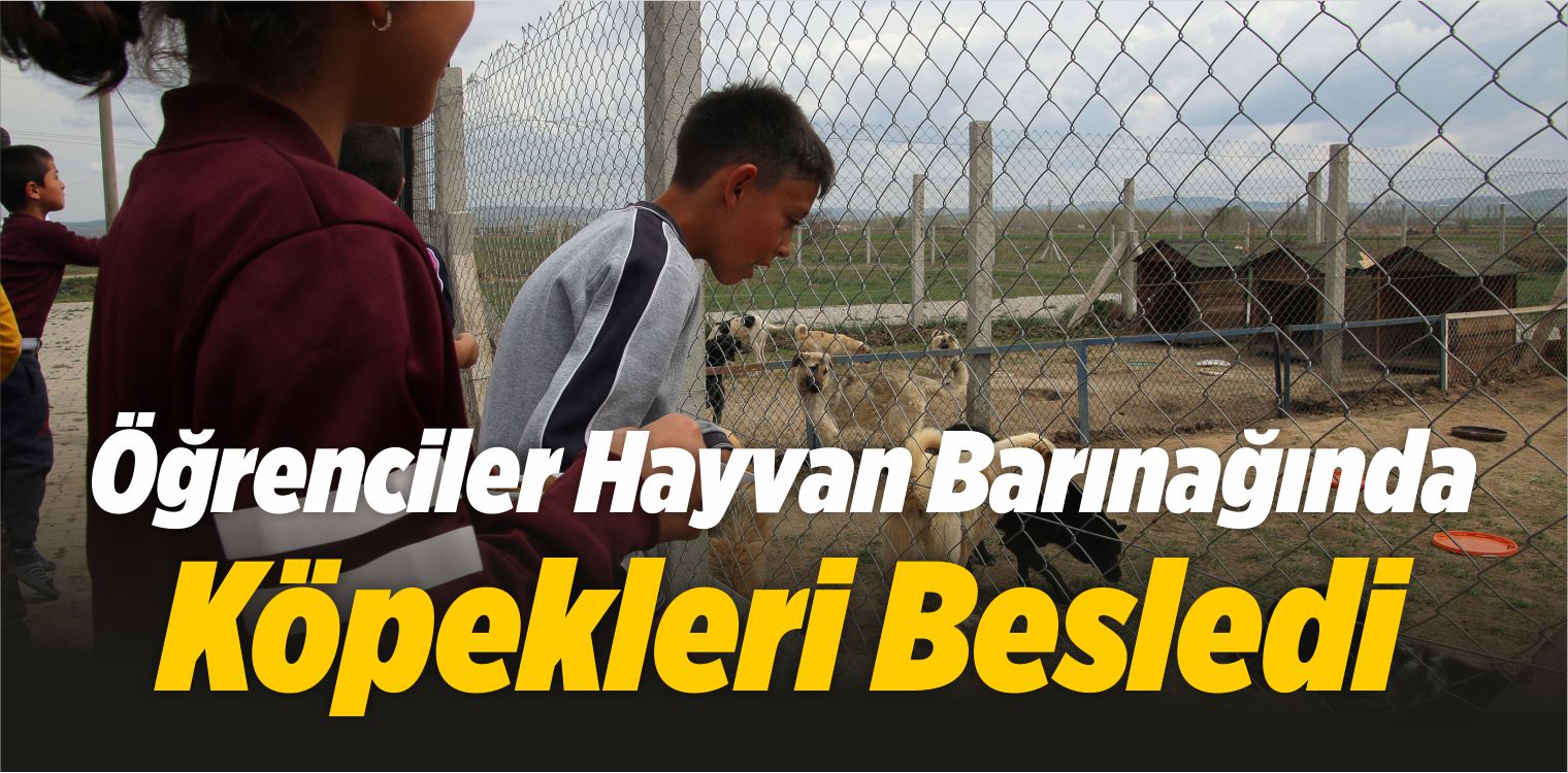 Öğrenciler Hayvan Barınağında Köpekleri Besledi
